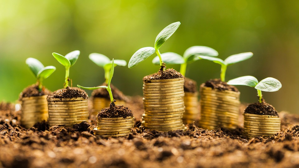 農(nóng)產(chǎn)品短視頻營(yíng)銷 農(nóng)產(chǎn)品短視頻營(yíng)銷