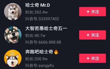 哈士奇短視頻營(yíng)銷策劃 哈士奇短視頻營(yíng)銷策劃