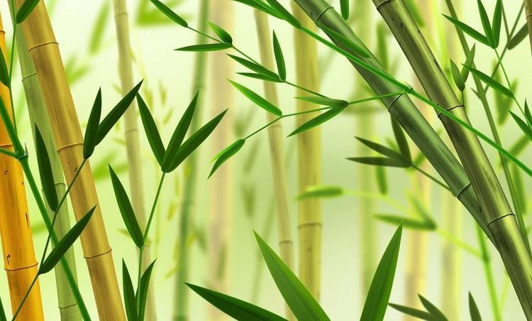 加入電商代運(yùn)營(yíng)的原因是 加入電商代運(yùn)營(yíng)的原因是