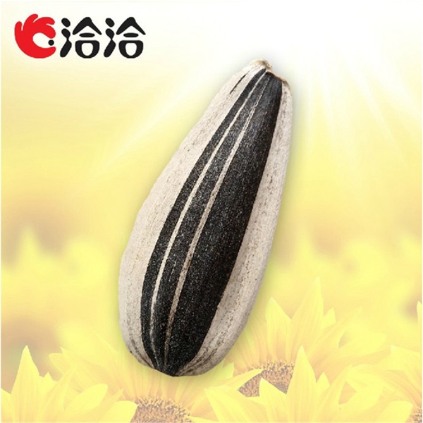 洽洽5.jpg 洽洽5.jpg