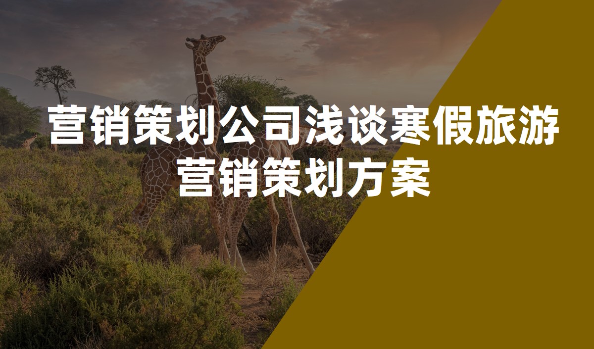 營(yíng)銷策劃公司淺談寒假旅游營(yíng)銷策劃方案