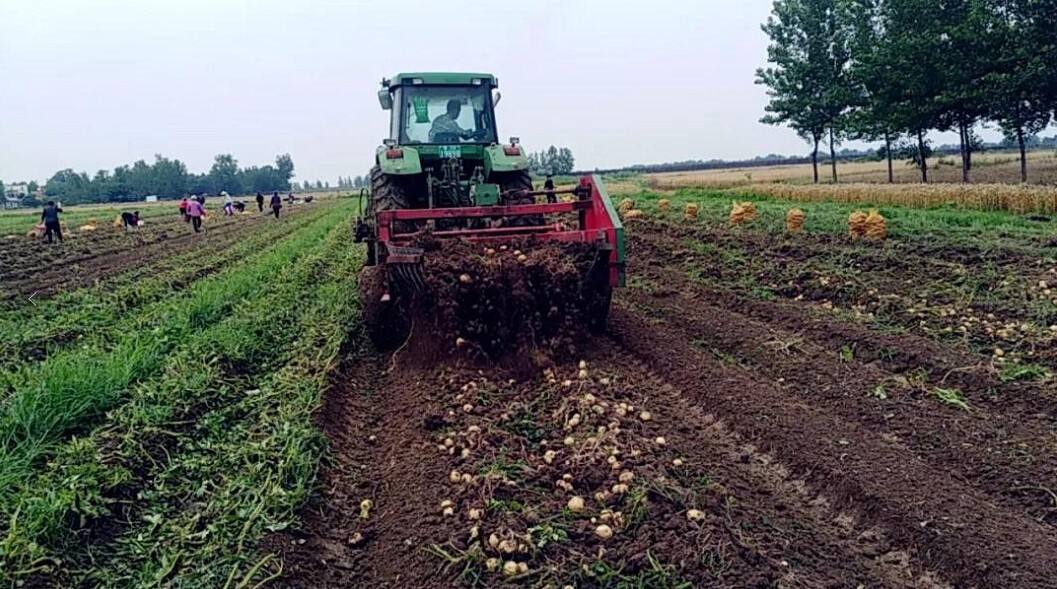 農(nóng)業(yè)品牌策劃需要長(zhǎng)期做嗎？