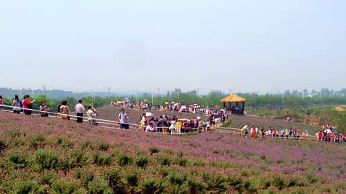 農(nóng)業(yè)品牌策劃能給公司帶來(lái)什么利益呢？