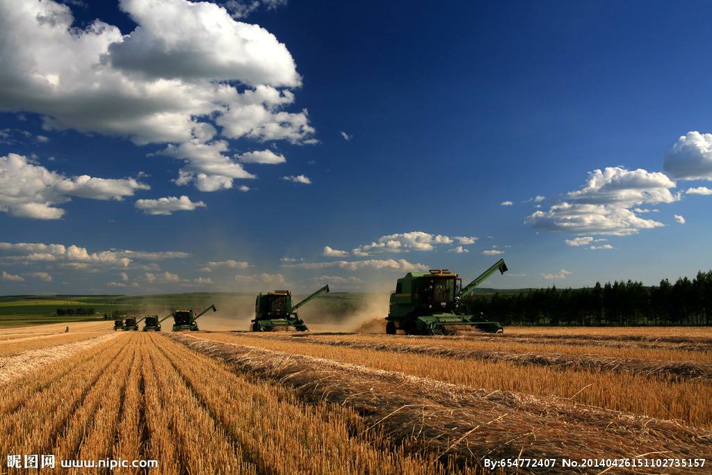 農(nóng)業(yè)品牌策劃 農(nóng)業(yè)品牌策劃