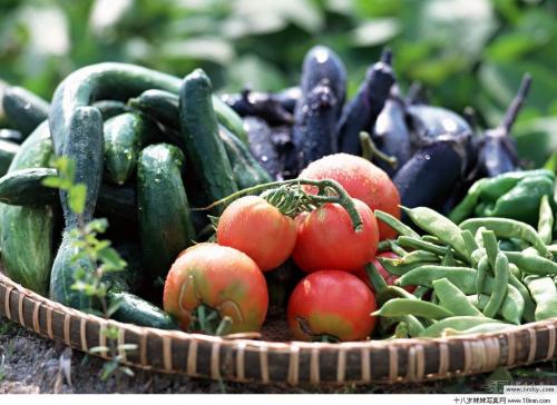 農(nóng)產(chǎn)品品牌策劃 農(nóng)產(chǎn)品品牌策劃