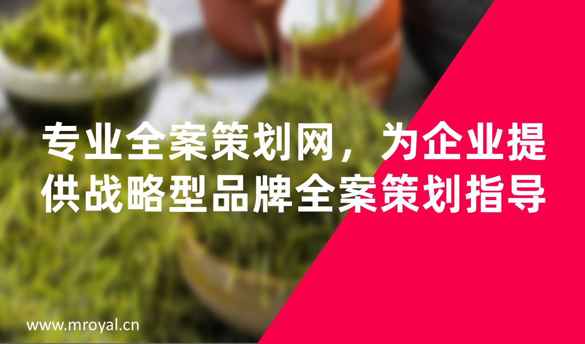 專業(yè)全案策劃網(wǎng)，為企業(yè)提供戰(zhàn)略型品牌全案策劃指導(dǎo)