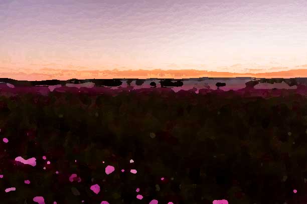 化妝品全案策劃公司應(yīng)該建立怎樣的形象？