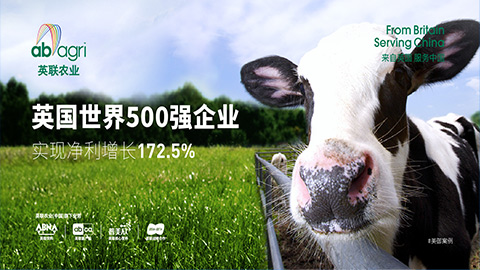 農業(yè)企業(yè)品牌戰(zhàn)略落地執(zhí)行案例