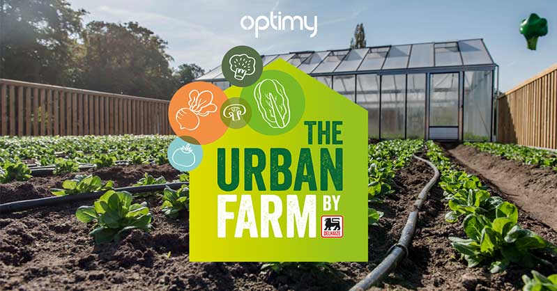 一套時尚的農(nóng)業(yè)品牌設計，設計簡潔明了，用色鮮明，讓人看了過目不忘，值得搞農(nóng)業(yè)品牌朋友學習交流。