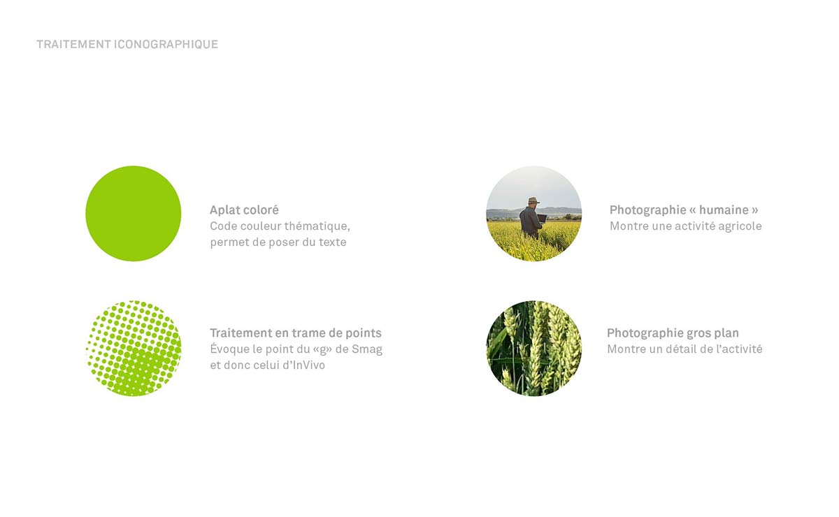 農(nóng)業(yè)品牌VI設(shè)計 農(nóng)業(yè)品牌vi設(shè)計