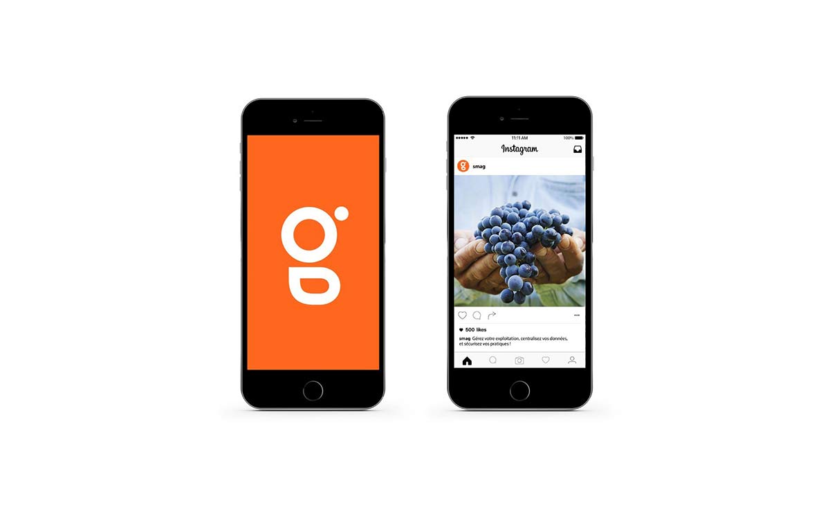 農(nóng)業(yè)品牌VI設(shè)計 農(nóng)業(yè)品牌VI設(shè)計