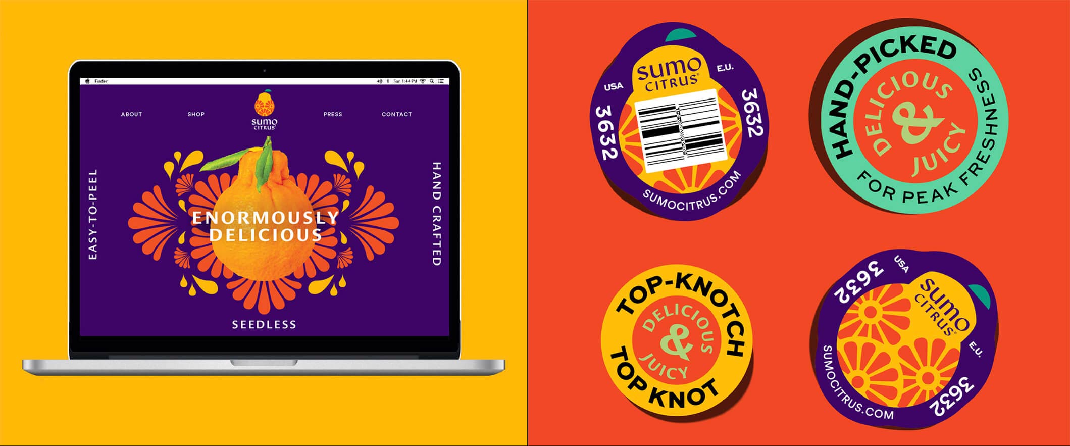 水果品牌設(shè)計