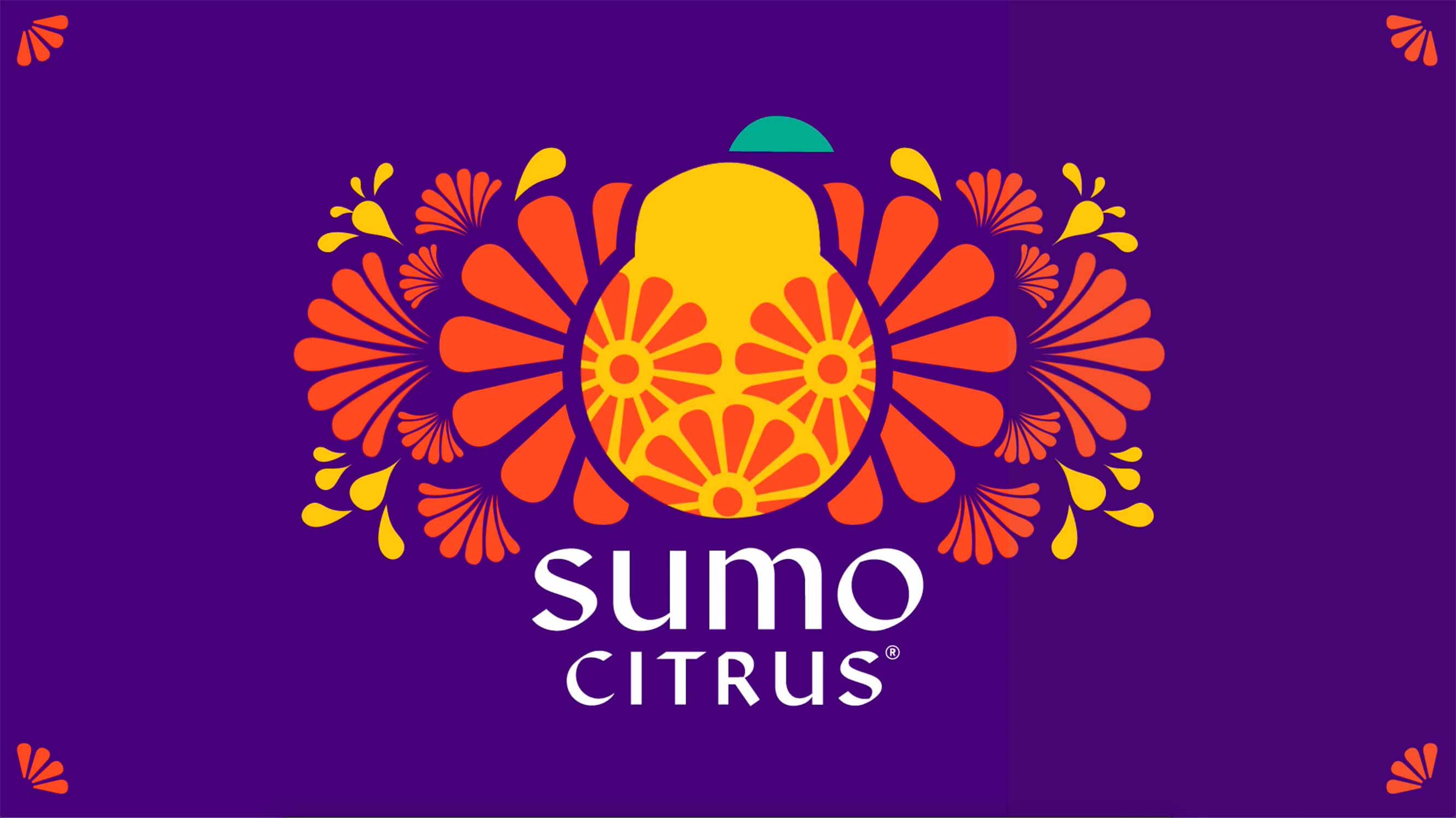 水果品牌設(shè)計