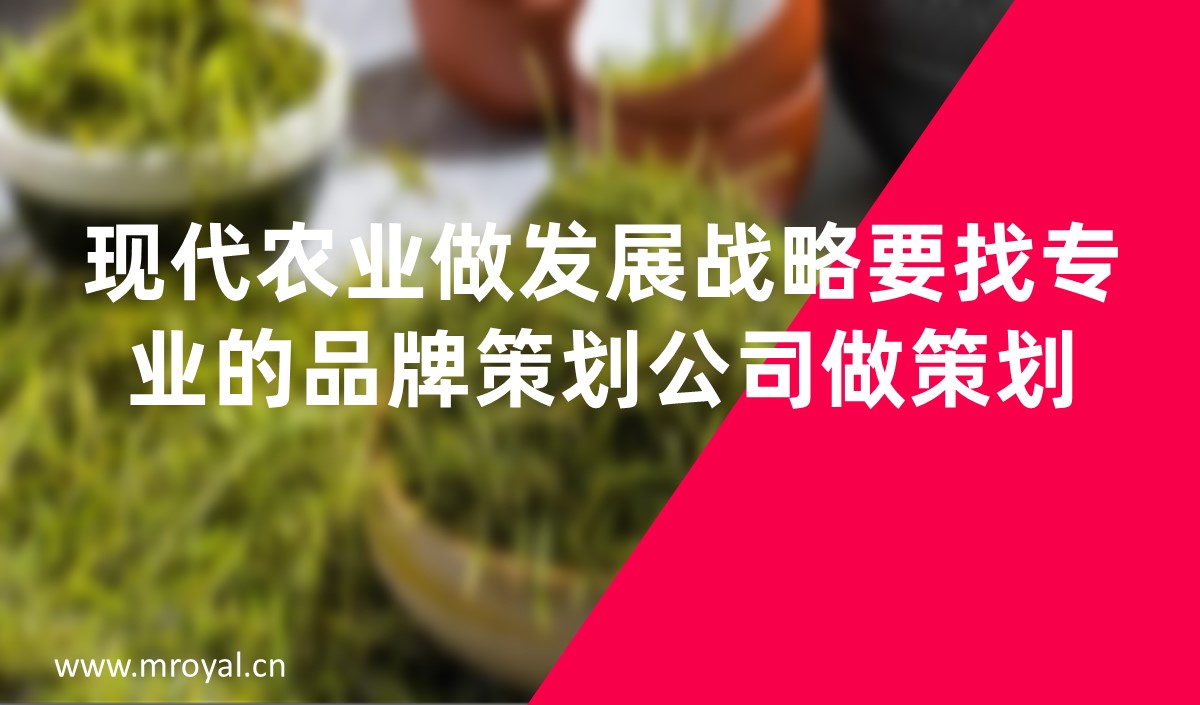 現(xiàn)代農(nóng)業(yè)做發(fā)展戰(zhàn)略要找專(zhuān)業(yè)的品牌策劃公司做策劃