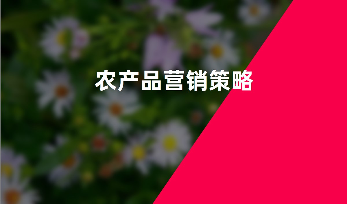 農(nóng)產(chǎn)品營(yíng)銷(xiāo)策略