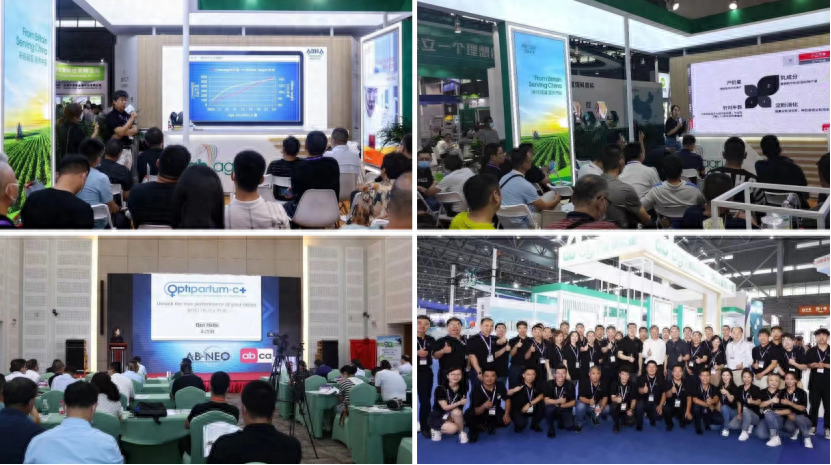 e8960be87f7d44a3b855e2ac085e19fe~tplv-tt-origin-asy2_5aS05p2hQOe-juW-oeaImOeVpeWSqOivog==.png e8960be87f7d44a3b855e2ac085e19fe~tplv-tt-origin-asy2_5aS05p2hQOe-juW-oeaImOeVpeWSqOivog==.png