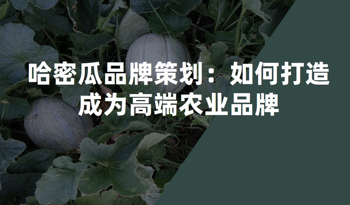 哈密瓜品牌策劃：如何打造成為高端農(nóng)業(yè)品牌