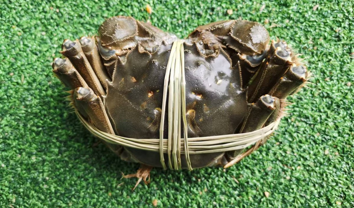 中秋節(jié)前的大閘蟹品牌營銷策劃方案 中秋節(jié)前的大閘蟹品牌營銷策劃方案