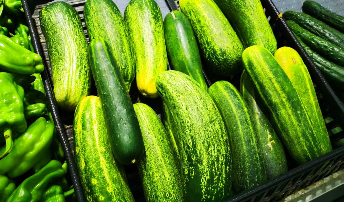 農(nóng)產(chǎn)品黃瓜營(yíng)銷策劃指南-重塑黃瓜產(chǎn)業(yè)價(jià)值鏈條