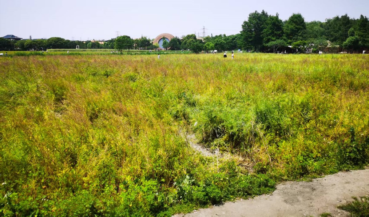 近郊農(nóng)業(yè)公司如何打造高端現(xiàn)代農(nóng)業(yè)品牌？